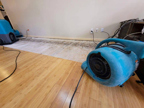Professional Sewage Cleanup technician working in Horse Creek, WY